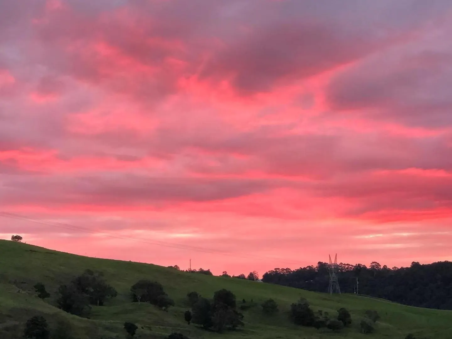 Top Of The Hill Maleny Bed & Breakfast