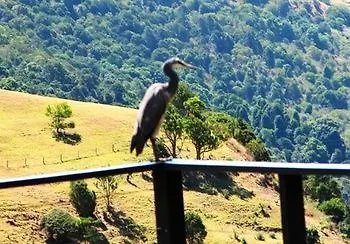 Top Of The Hill Maleny 4*,