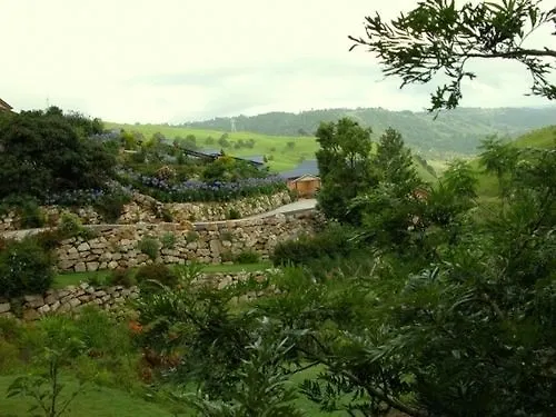 Top Of The Hill Maleny Australia