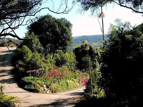 Top Of The Hill Maleny Bed & Breakfast