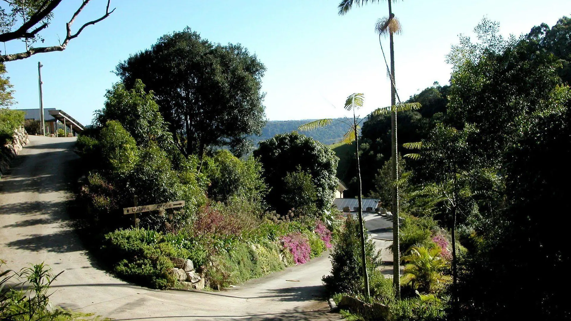 Top Of The Hill Maleny Bed & Breakfast